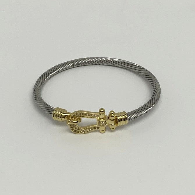 Two-Tone Buckle Clasp Bracelet