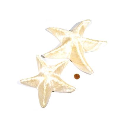 2pc Starfish