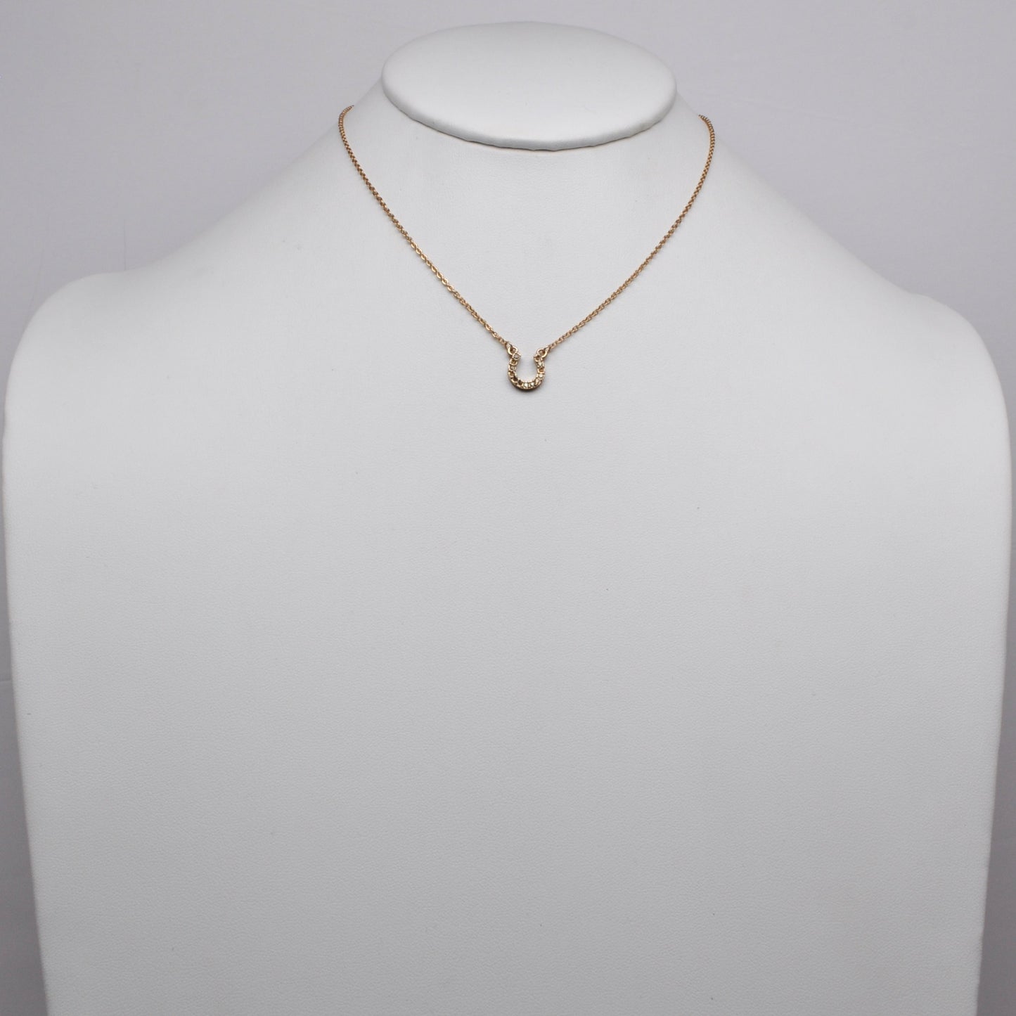 Small Horseshoe Pendant Necklace