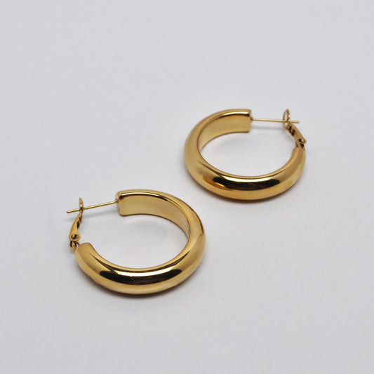 Hoop Chunky Earrings