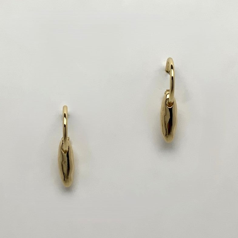 Hoop Dangle Earrings