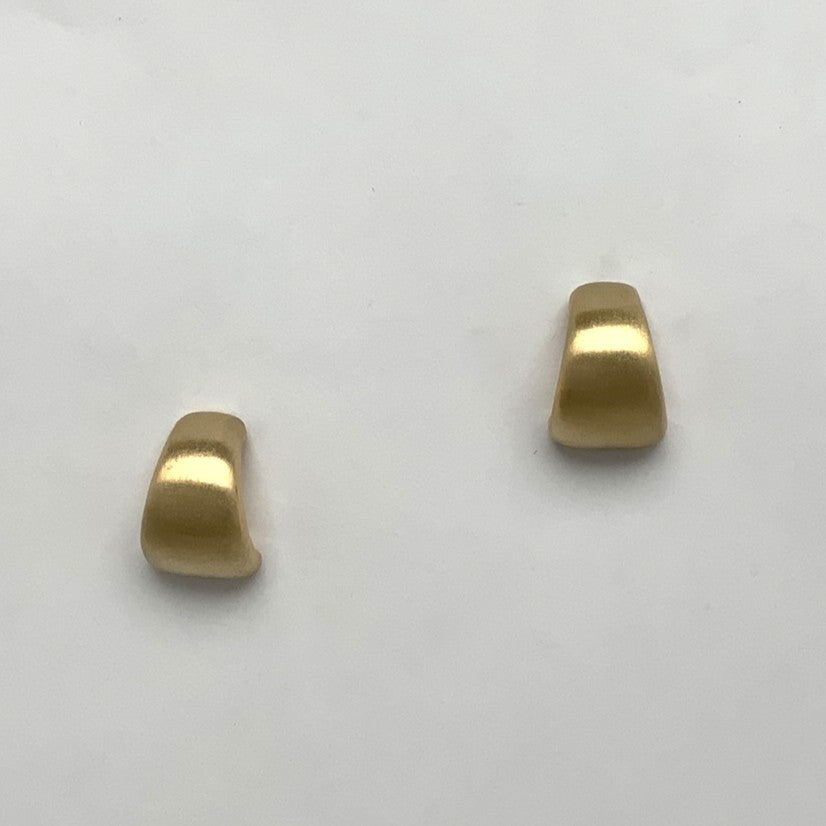 Matte solid Earrings