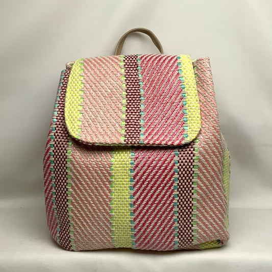 Multicolor Mid Size Backpack
