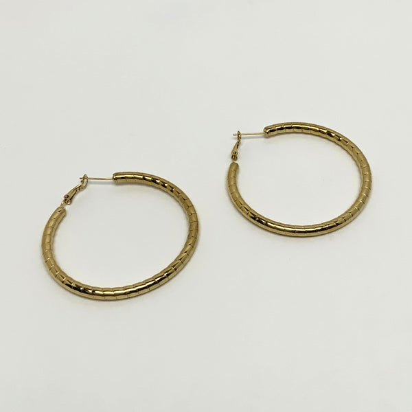 Gold Hoop Earrings