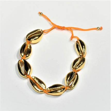 Cowrie Shell