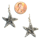 Druizy Bling Starfish Earring