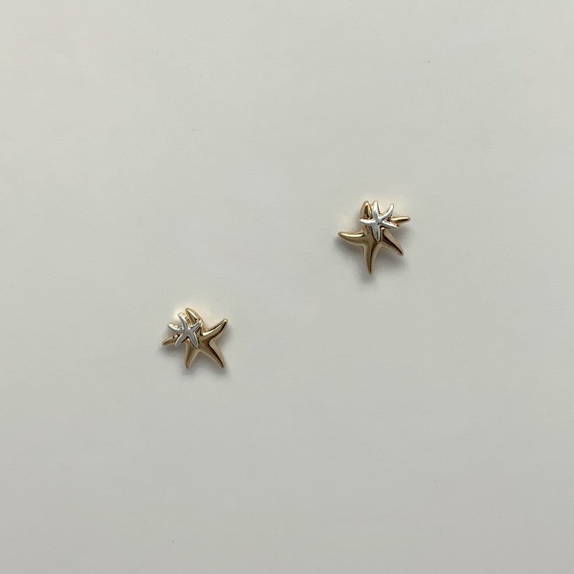 Starfish Earrings