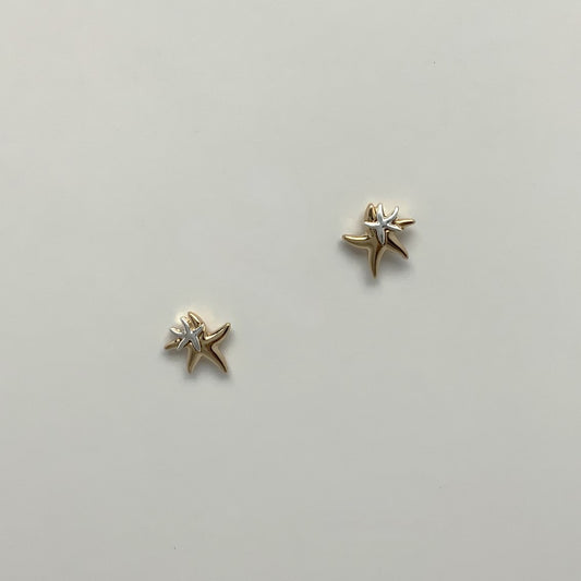 Starfish Earrings